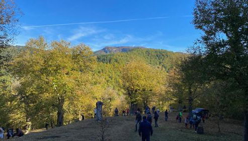 Agriturismo Vezzano - Foto 4