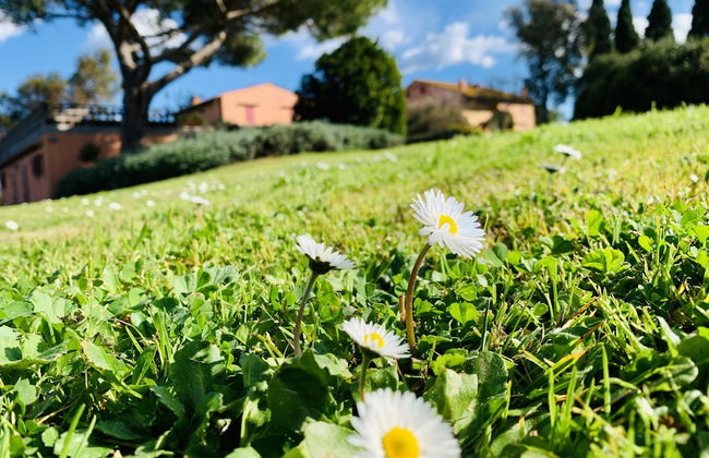 Tenuta Agricola Fraschiera - Foto 52