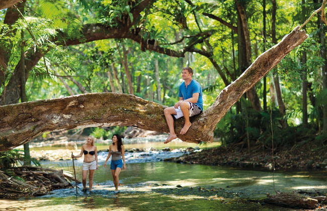 Cascade Gardens - Photo 40