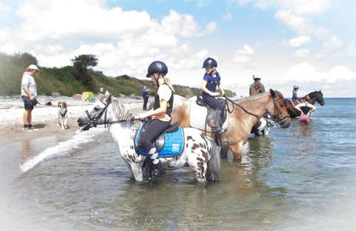 Meislahnhof Fehmarn - Foto 73