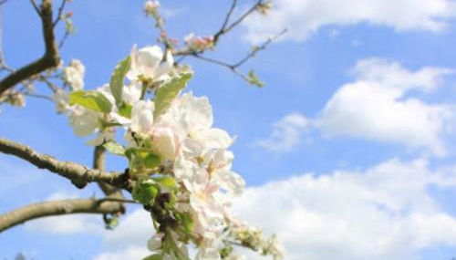 Stöckigtsmühle - Foto 2, Other