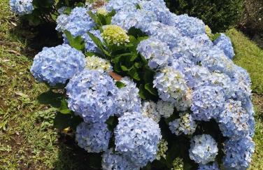 Linda casa em Mury,com riacho e lareira - Foto 47