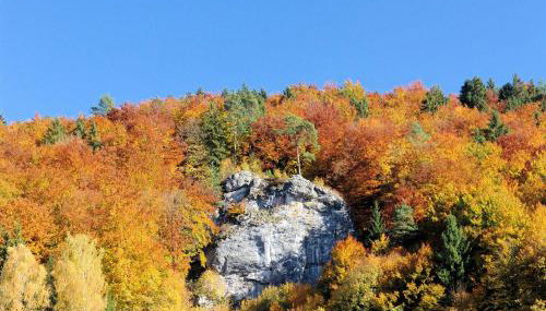 FeWo Die Dittrichs - Foto 2