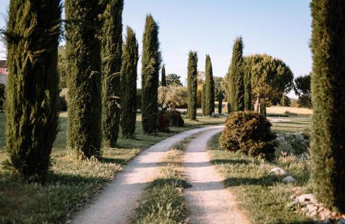 Domaine de la barbeirasse - Foto 31