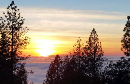 Cozy Mountain Cabin Yosemite Dodge Ridge Ski - Foto 43