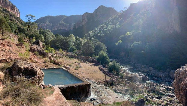 Immerse yourself in nature