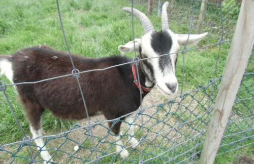 Ferienwohnung Heimathafen - Photo 26