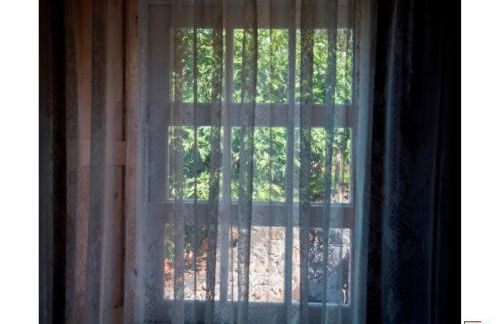 Casa do Zé II AL - Photo 49