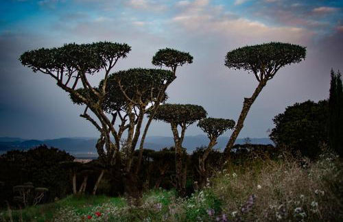 Can Negrell - Foto 22