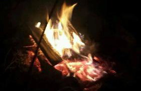 Agroturystyka Zaborski Sad - Foto 36