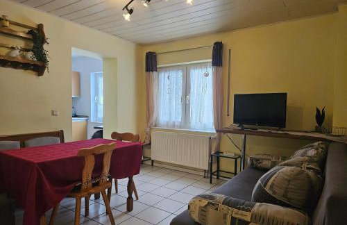 Appartements & Ferienwohnungen Wolf - Foto 26