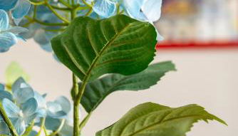 HOME@PORVENIR VFT/SE/03555 - Foto 5