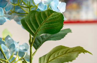 HOME@PORVENIR VFT/SE/03555 - Foto 5