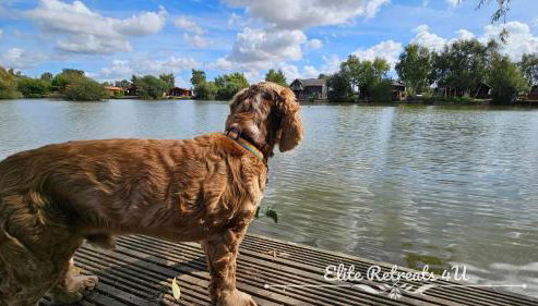 Elite Retreats 4U Lakeside Hot Tub Log Cabin with the fishing peg at Tattershall Lakes Park - Foto 5