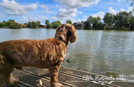 Elite Retreats 4U Lakeside Hot Tub Log Cabin with the fishing peg at Tattershall Lakes Park - Foto 5