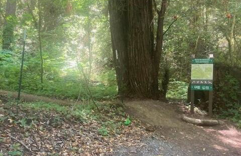 Sweet Creek - Photo 12