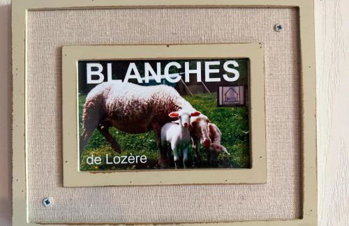 Gîte L'ESTAOU, 3 épis, 15 pers, 18 couchages - Ancienne ferme rénovée - Label Ecogîte - Foto 27