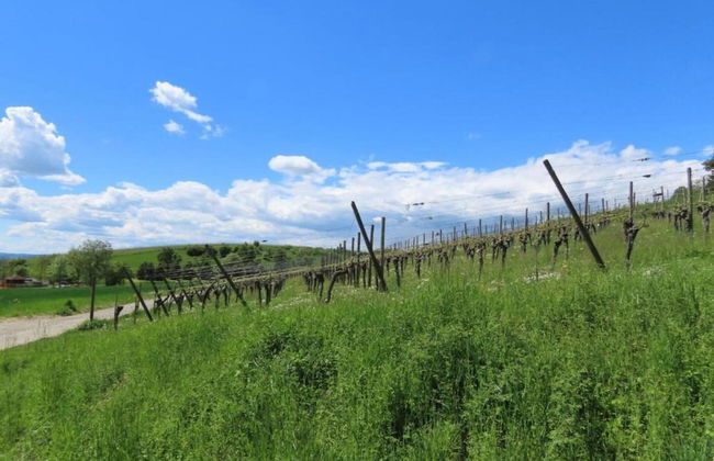 Spacious Apartment near Lake Constance with Covered Balcony - Foto 17