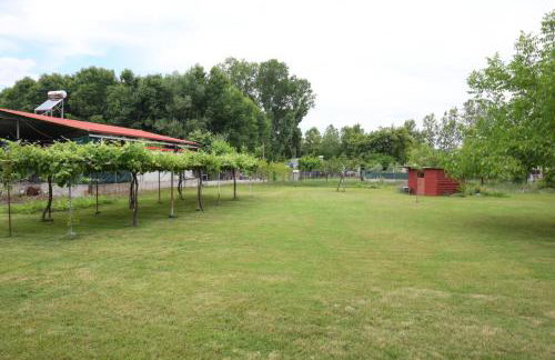 Prionas Studios - Foto 21