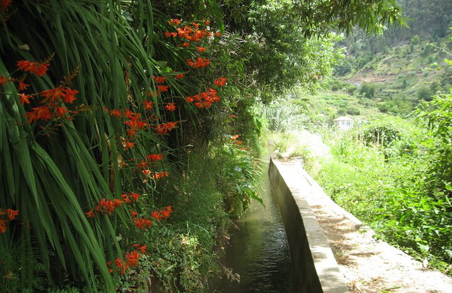 Experiencia a pie en el valle de la Serra D'Água - Foto 2