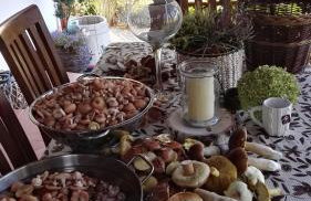 Siedlisko Gruszki Puszcza Białowieska - Foto 58