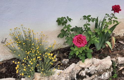 CASA RURAL "ECCEHOMO de BORJA" - Foto 34