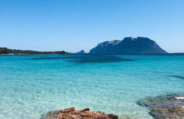 Agriturismo La Rocca Manna - Foto 3