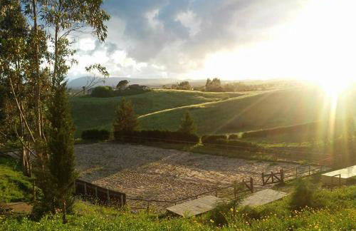 Herdade da Hera - Foto 57