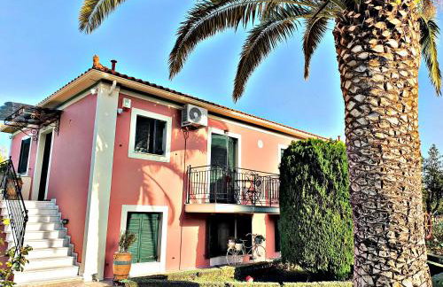 Acroploro - Photo 15