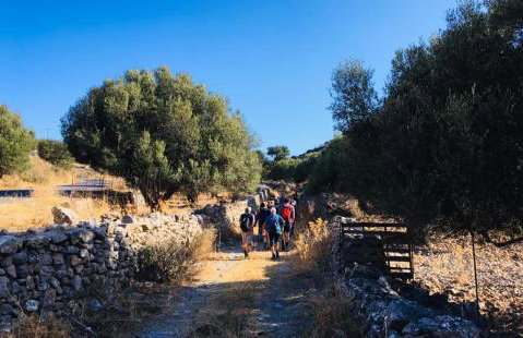 Nektarios Village House - Foto 39