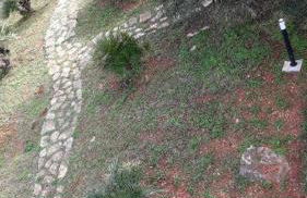 Sole di Sicilia - Foto 6