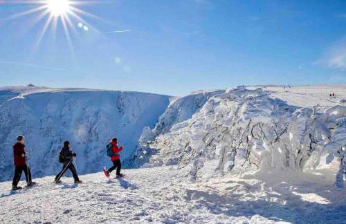 Maisonnette Alsacienne cosy - Foto 27