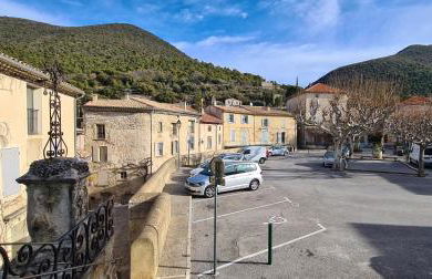 La salamandre - Foto 25