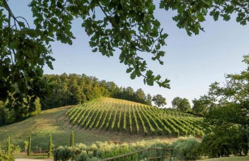 Orte Villa for 8 With Parking - Foto 42