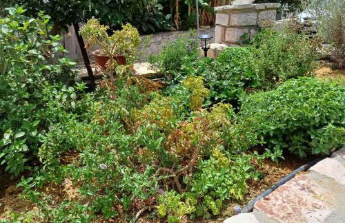 Aggelikis house - Foto 21