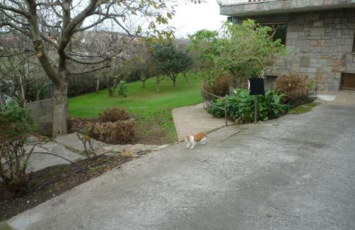 Casa Vacacional Mazo de Arriba - Foto 34