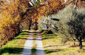 LA QUERCIA SUITES - taverna nel borgo medievale - Foto 29