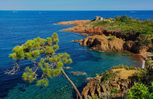 Domaine de Valescure Residence Saint-Raphaël - Foto 28