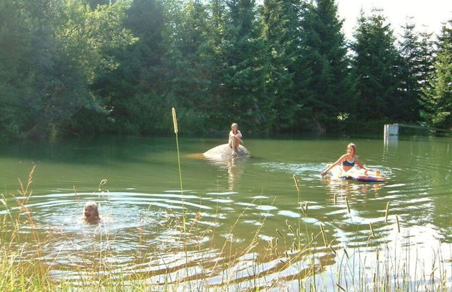 Mitterdorf Modern Retreat - Foto 14