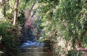 CASA RURAL CASCO ANTIGUO - Photo 55