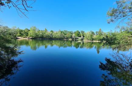 Joli 3 pièces proche RER D - Foto 22