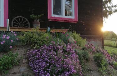 Domek na wsi Wiejsko Czarodziejsko - Agroturystyka Podlasie - Foto 20