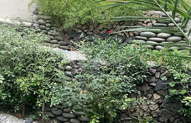 Warraich Villa gt Raod Gujrat Entire - Photo 43