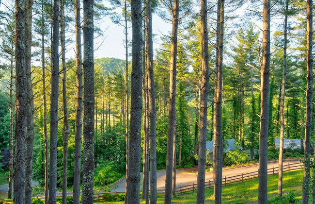 Heritage Hill Cabins - Foto 58