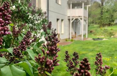 W Karkonoszach na Chacie jacuzzi, sauna, bilard, leśny park - Foto 15