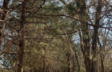 Texoma Getaway - Tiny House on a Pharm - Foto 6