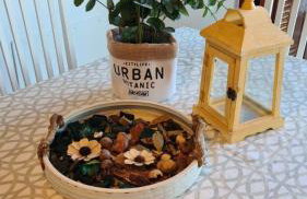 Oasis apartment with sea view and garden - Photo 16