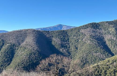 Le Châtaignier - Foto 28