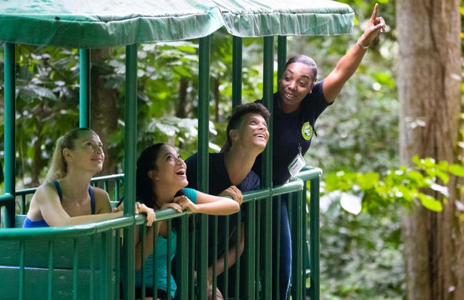 Entrada al parque de aventura Rainforest Santa Lucía - Foto 9