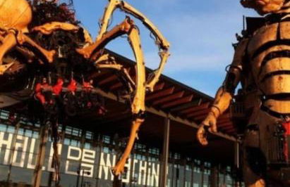 chazi and cosy - Foto 24